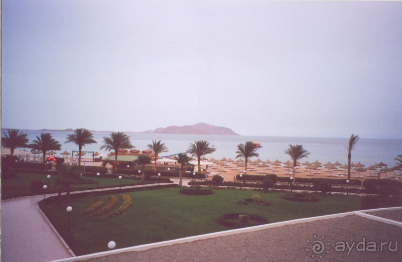 Вид из номера на Тиран