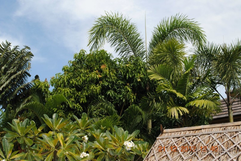 фото Chalong Beach Hotel & SPA