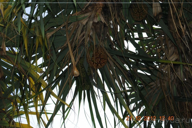 Отзыв об отеле Chalong Beach