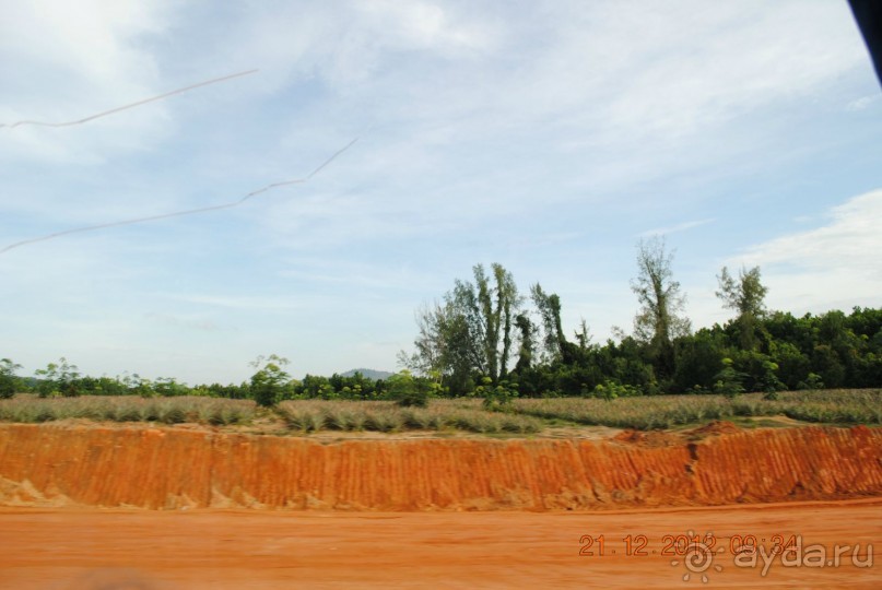 Отзыв об отеле Chalong Beach