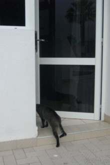 отель Almoggar Garden Beach