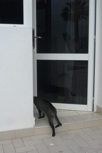 фото Al Moggar Garden Beach Club