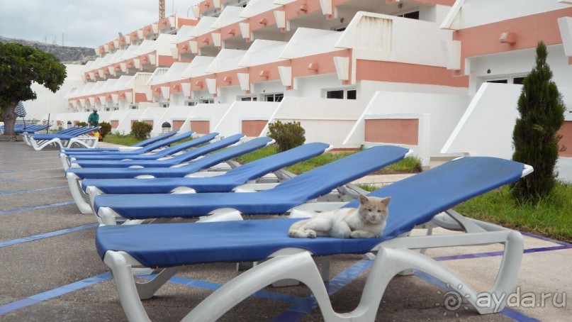 фото Al Moggar Garden Beach Club