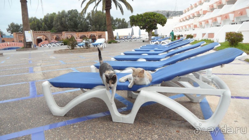 фото Al Moggar Garden Beach Club