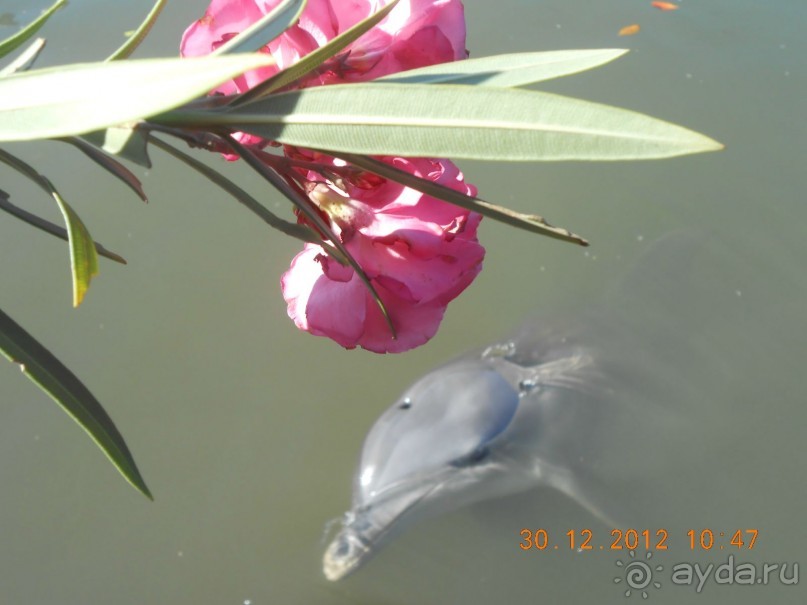 фото Muthu Playa Varadero