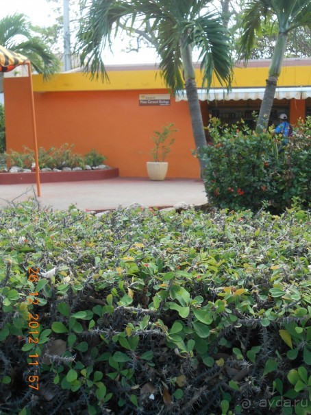 Возвращение в СССР (первое впечатление)