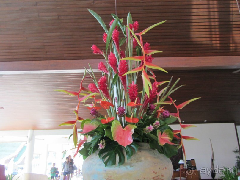 Очень хороший отель