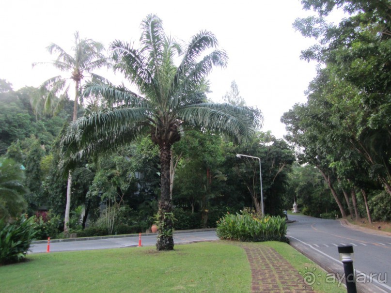 Очень хороший отель