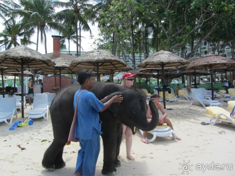 Очень хороший отель