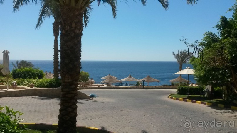 Неплохой отель