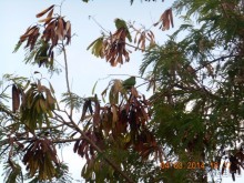 Мои впечатления об этом отеле