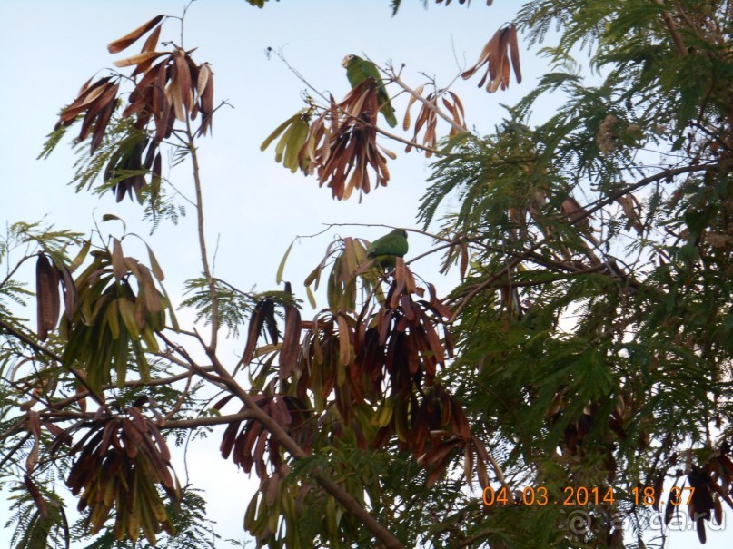 Мои впечатления об этом отеле