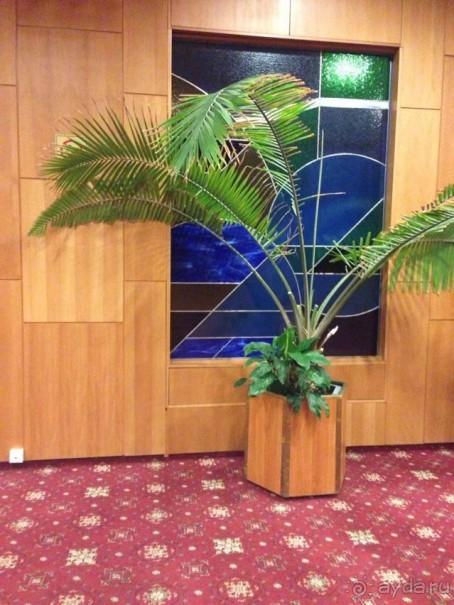 Жесть отельчик))