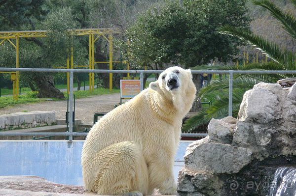 Праздник ПРИРОДЫ