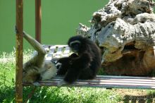 Праздник ПРИРОДЫ