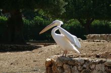 Праздник ПРИРОДЫ