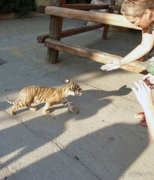 Праздник ПРИРОДЫ