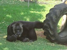 Праздник ПРИРОДЫ