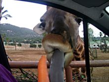 Праздник ПРИРОДЫ