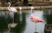 Праздник ПРИРОДЫ