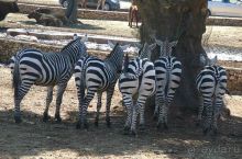 Праздник ПРИРОДЫ