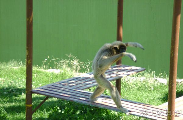 Праздник ПРИРОДЫ