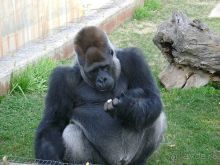 Праздник ПРИРОДЫ