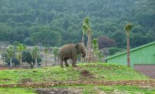 Праздник ПРИРОДЫ