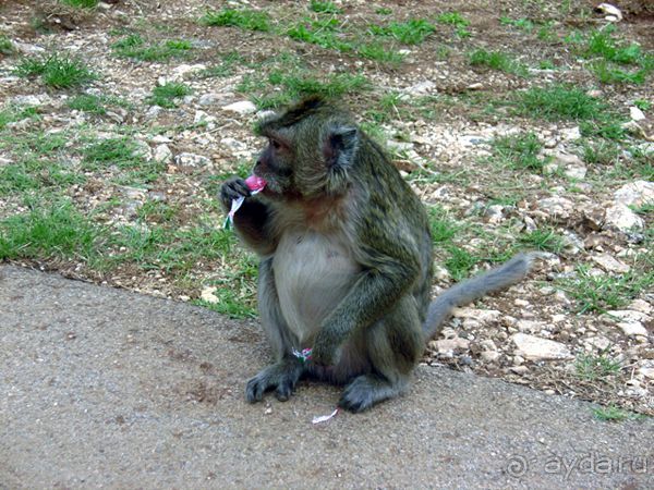 Праздник ПРИРОДЫ