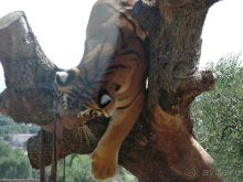 Праздник ПРИРОДЫ