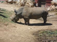 Праздник ПРИРОДЫ