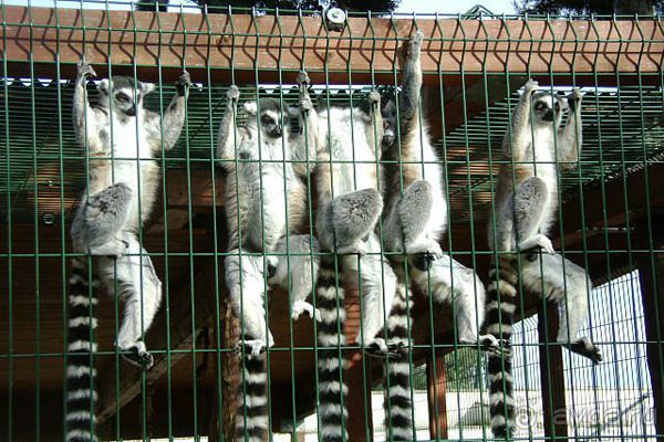 Праздник ПРИРОДЫ