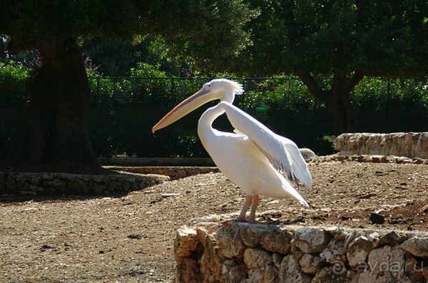 Праздник ПРИРОДЫ