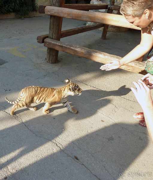 Праздник ПРИРОДЫ