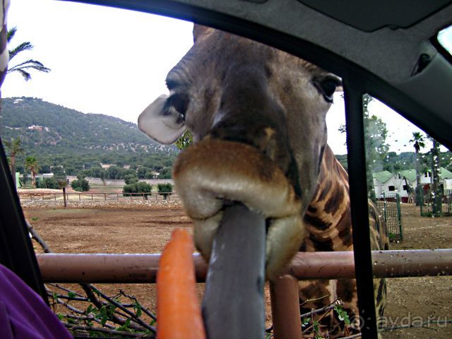 Праздник ПРИРОДЫ