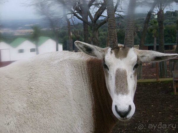 Праздник ПРИРОДЫ