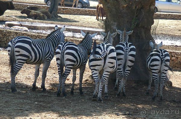 Праздник ПРИРОДЫ