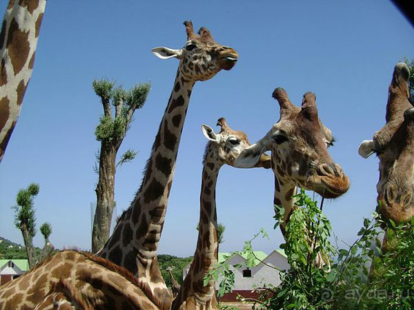 Праздник ПРИРОДЫ