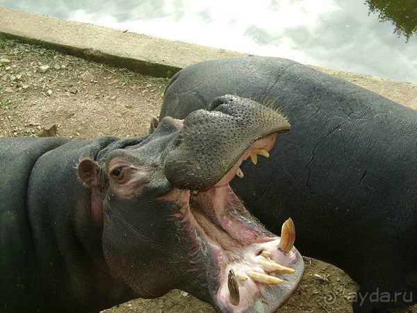 Праздник ПРИРОДЫ