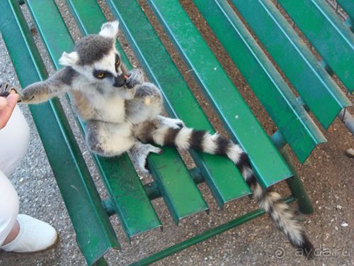 Праздник ПРИРОДЫ