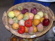 Альбом отзыва "Мир Керамики"