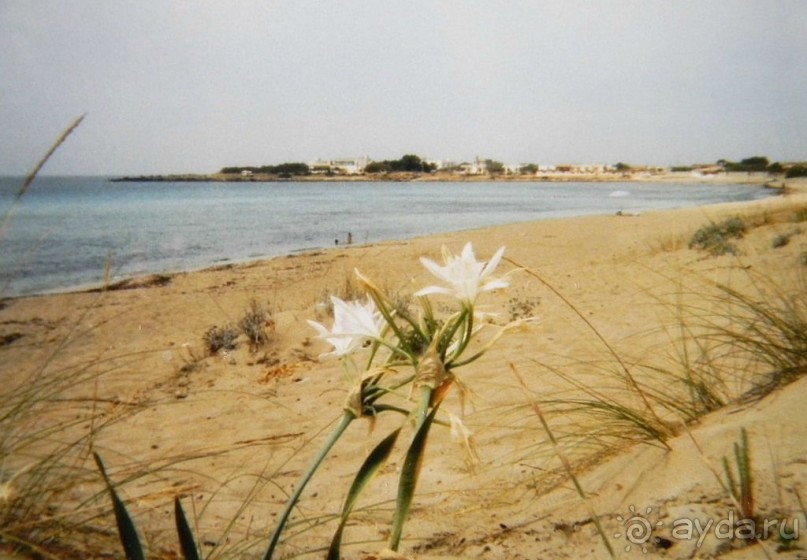 Земля любви - Апулия...