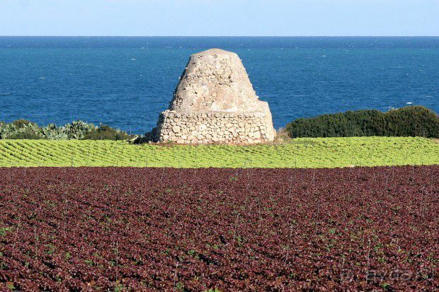 Земля любви - Апулия...