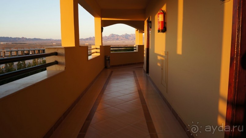 5 египетских звёзд