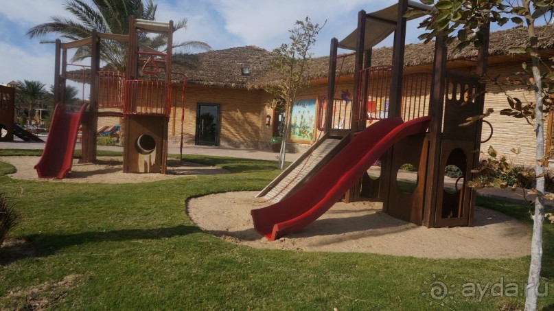 5 египетских звёзд