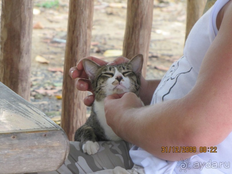 фото Panwa Boutique Beach Resort 