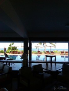 море манго или манго на море