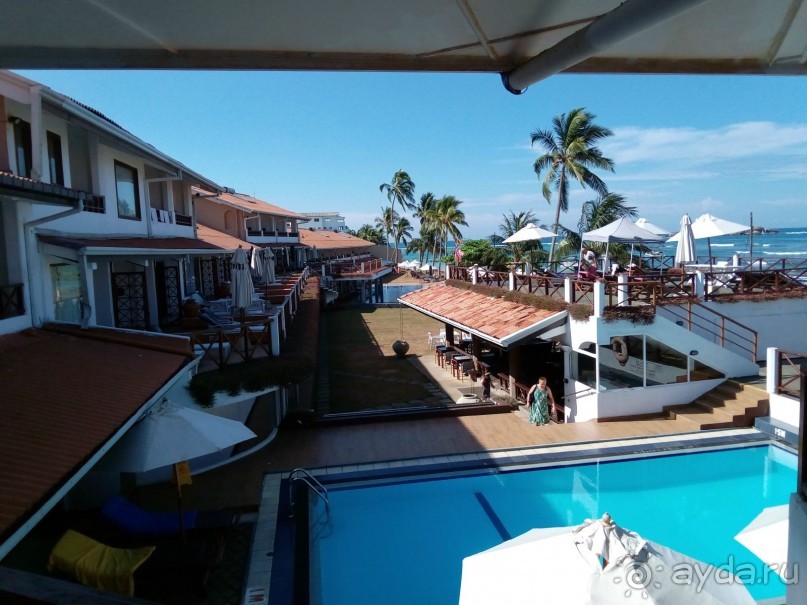 море манго или манго на море