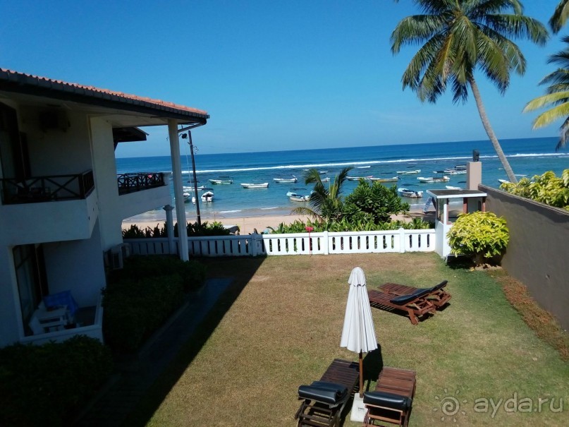 море манго или манго на море