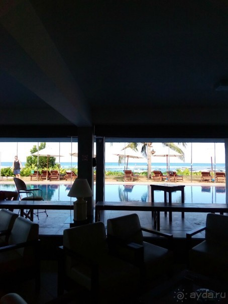 море манго или манго на море